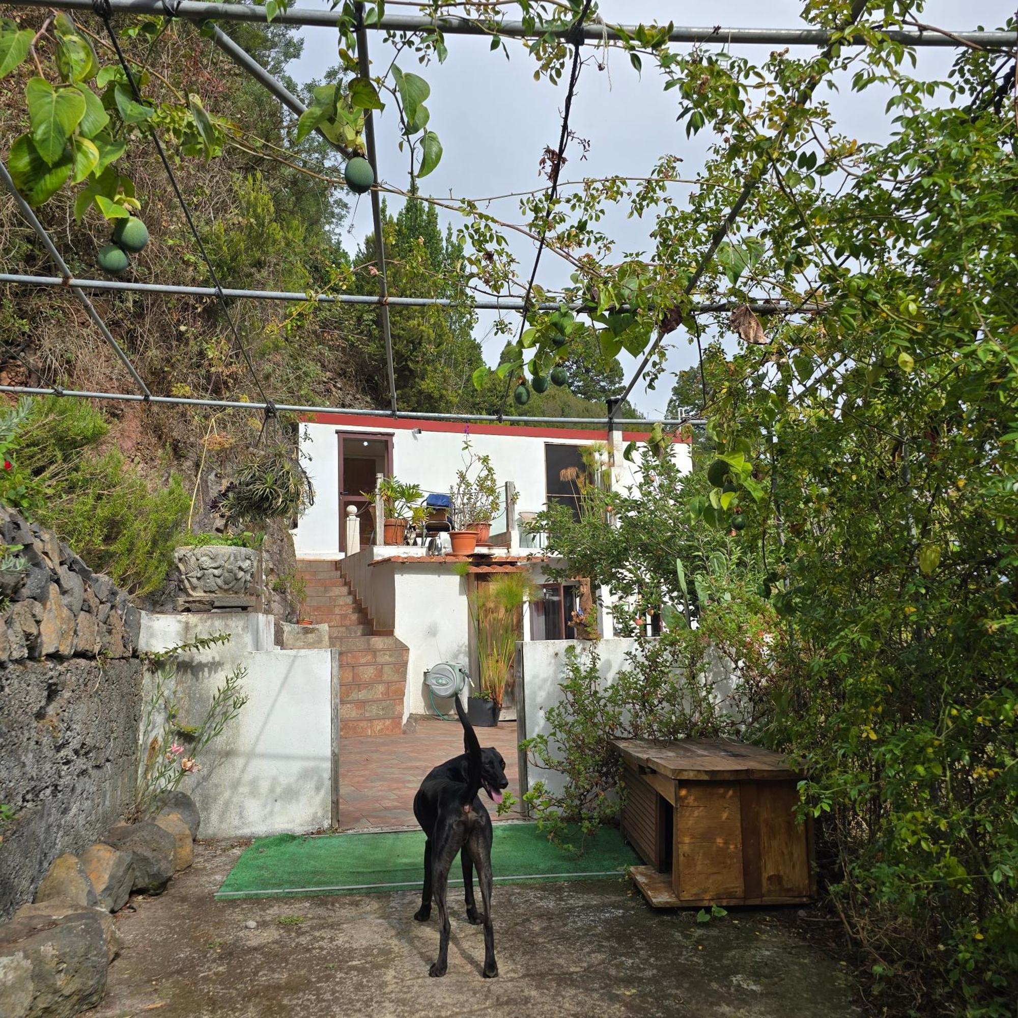 Freedom Villa El Tablado ภายนอก รูปภาพ